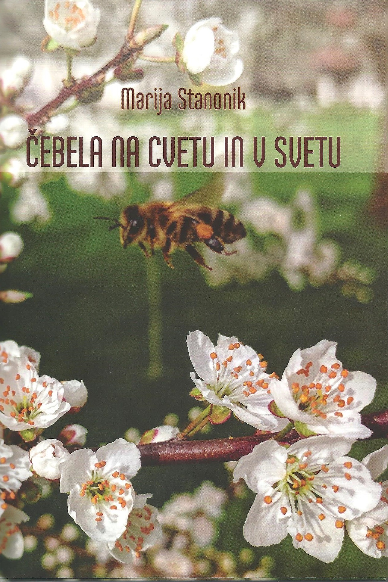 Predstavitev knjige ddr. Marije Stanonik Čebela na cvetu in v svetu