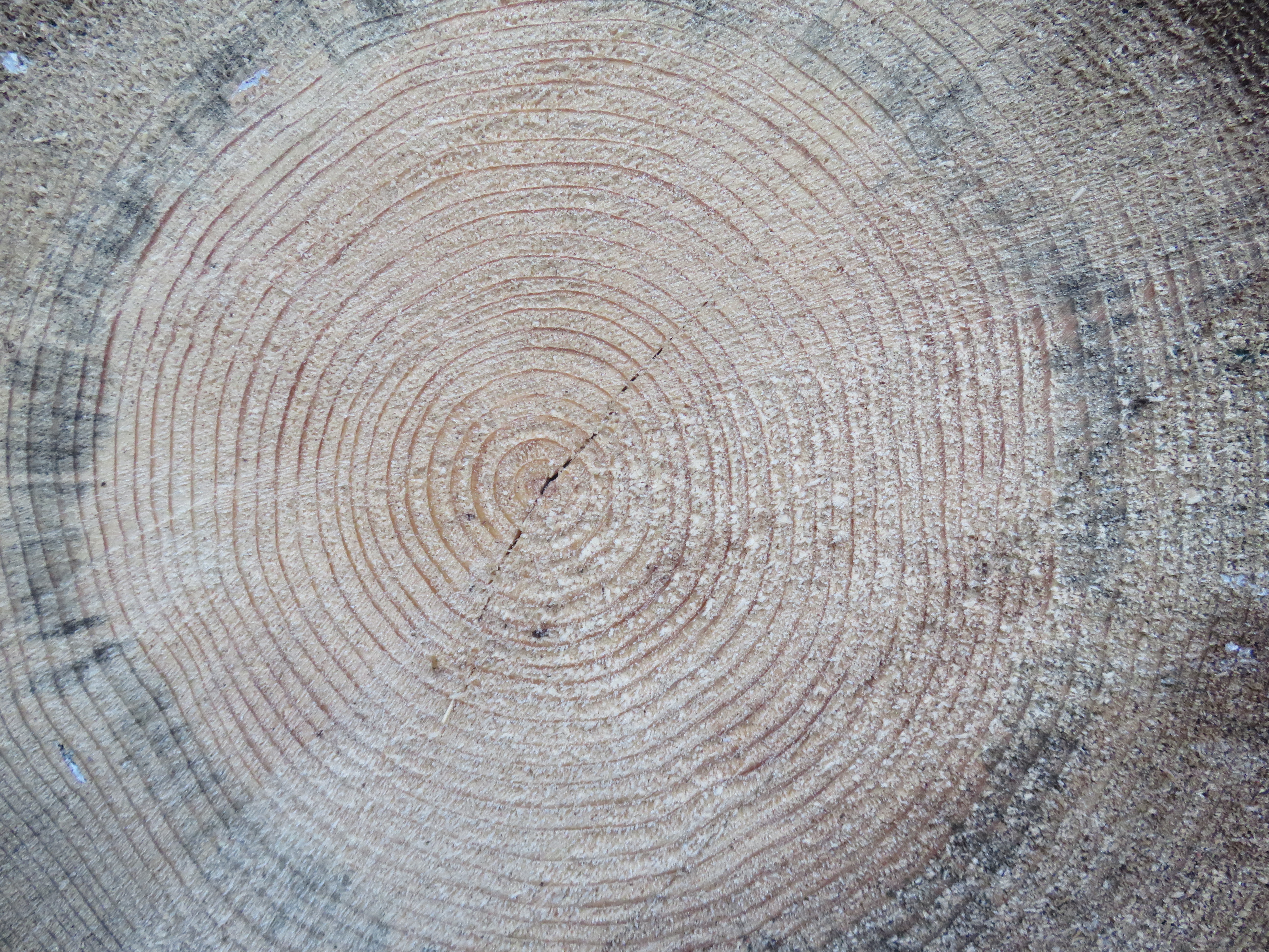 Predavanje o uporabi lesa Pomen lesa v boju proti podnebnim spremembam in za varovanje okolja