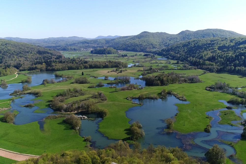 Vabilo na predavanje Naravoslovno-tehniškega odseka