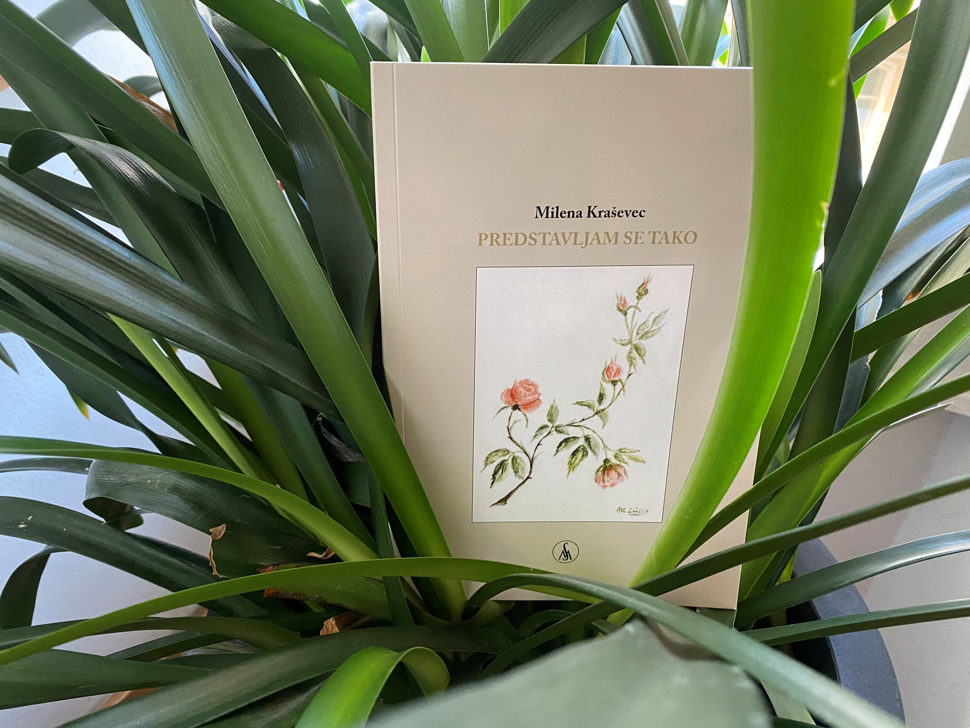 Literarno-glasbeno popoldne ob izidu pesniške zbirke Milene Kraševec Predstavljam se tako